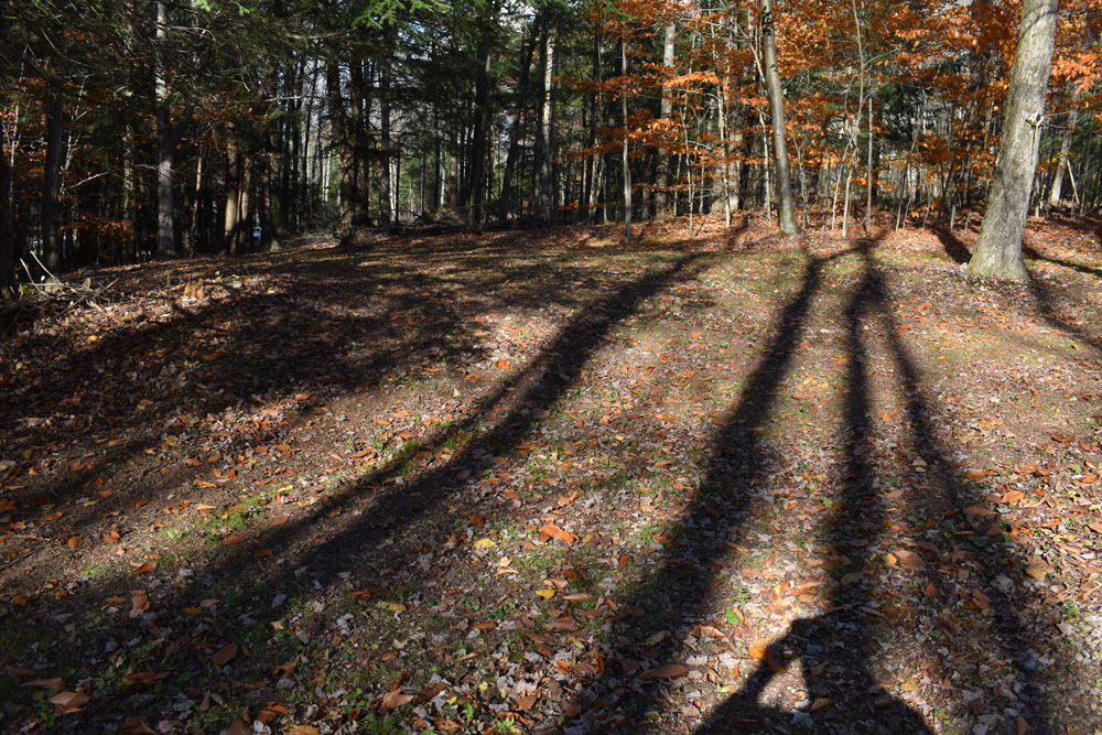 Tent Sites A1, A3, A7